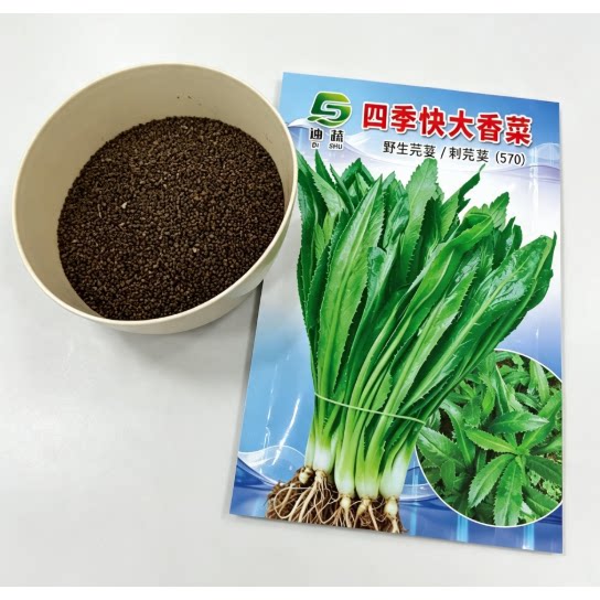 大芫荽种子缅甸香菜芫荽刺芹籽山野大香菜菜种籽云南刺芫荽种孑