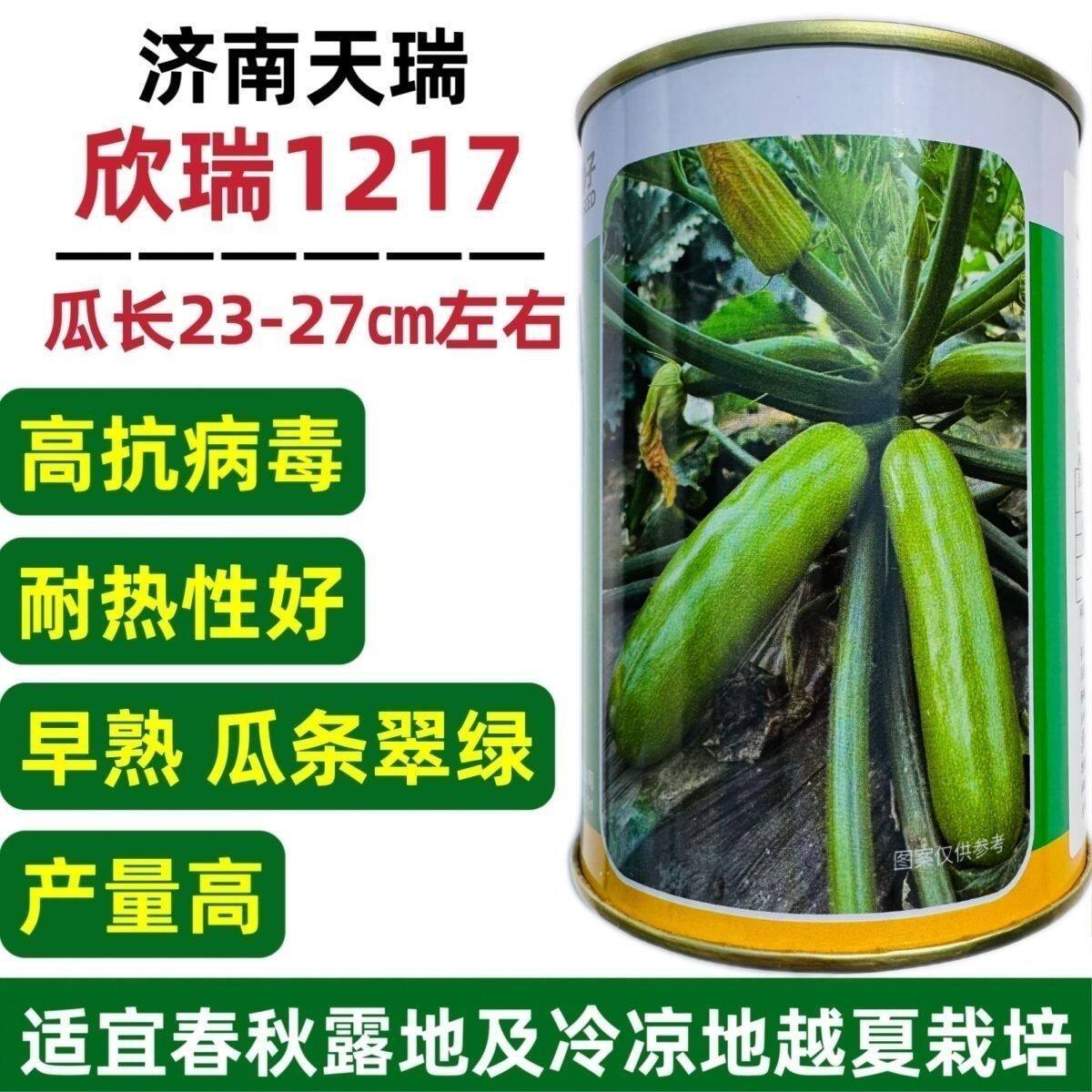 欣瑞1217高产西葫芦种子耐热早熟抗病毒南方越夏庭院绿色角瓜种籽
