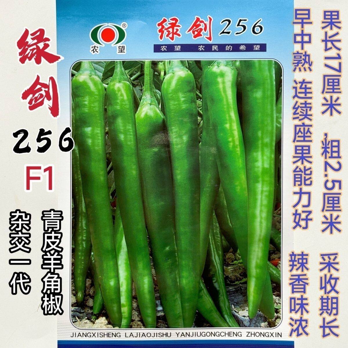 绿剑256种子羊角形辣椒种子皮薄辣味浓香青果绿色果面稍波皱辣椒