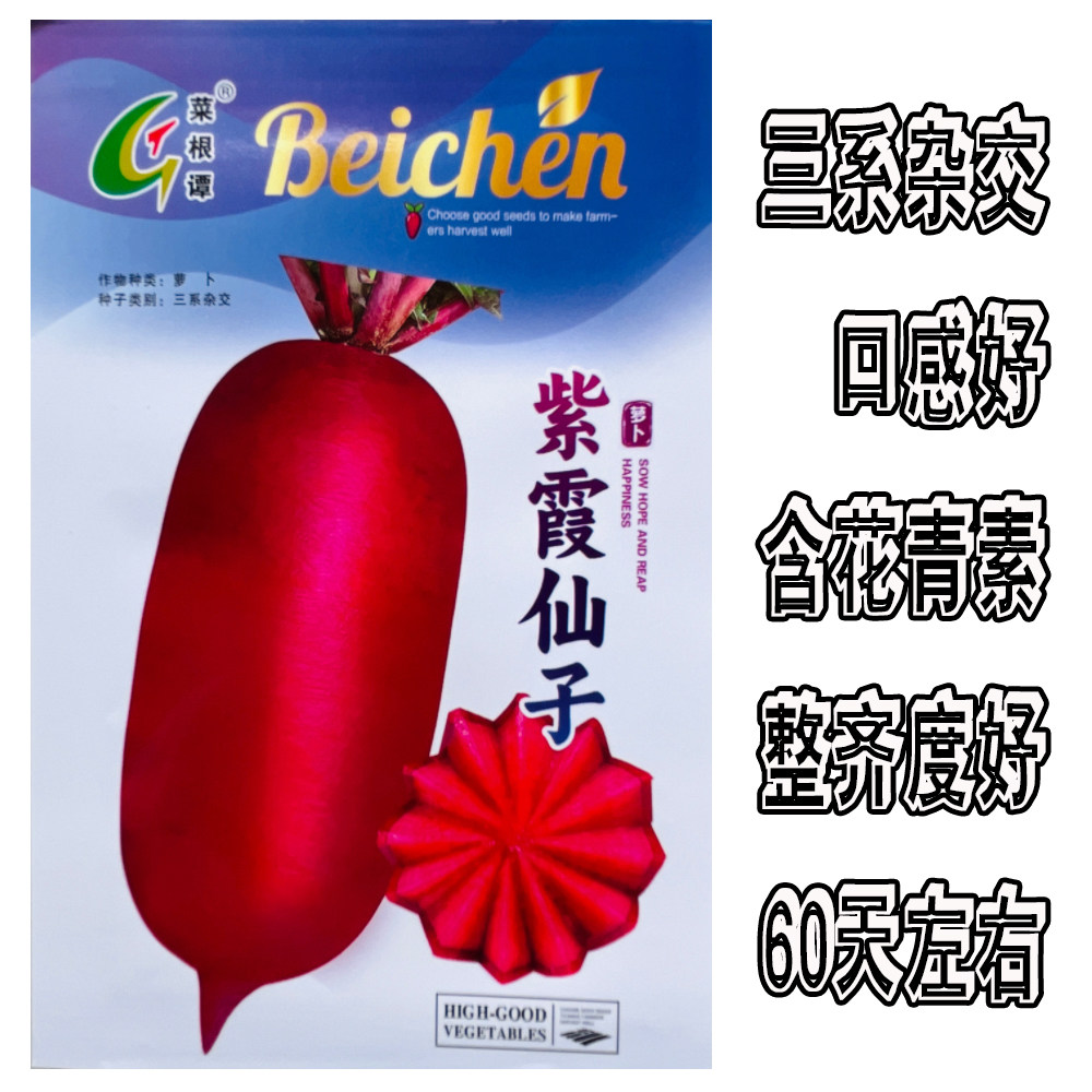 紫霞仙子凤梨萝卜种子红心凤梨萝卜种子秋季播种水果萝卜蔬菜种子