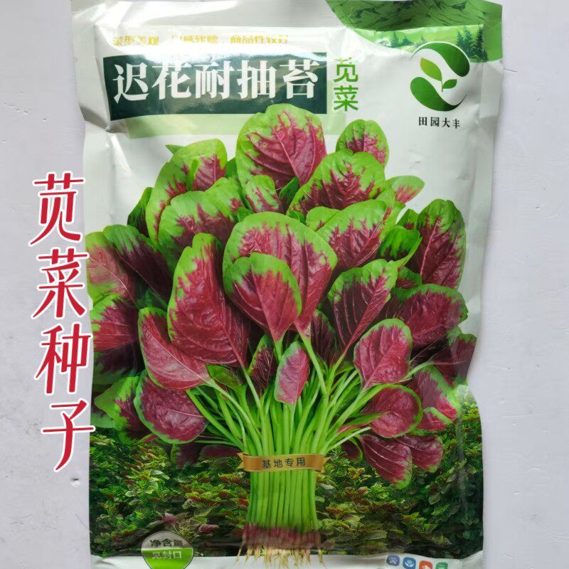 迟花耐抽苔苋菜种子农家春夏播耐热耐湿纤维少红苋菜种籽蔬菜种孑
