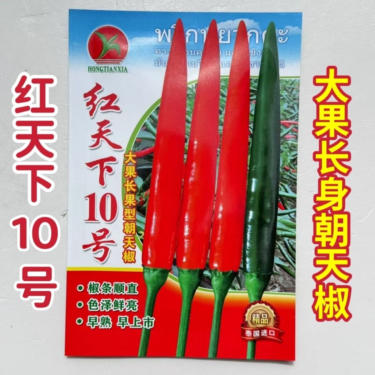 红天下10号大果长身朝天椒种子一代杂交早熟耐热耐寒抗病强产量高