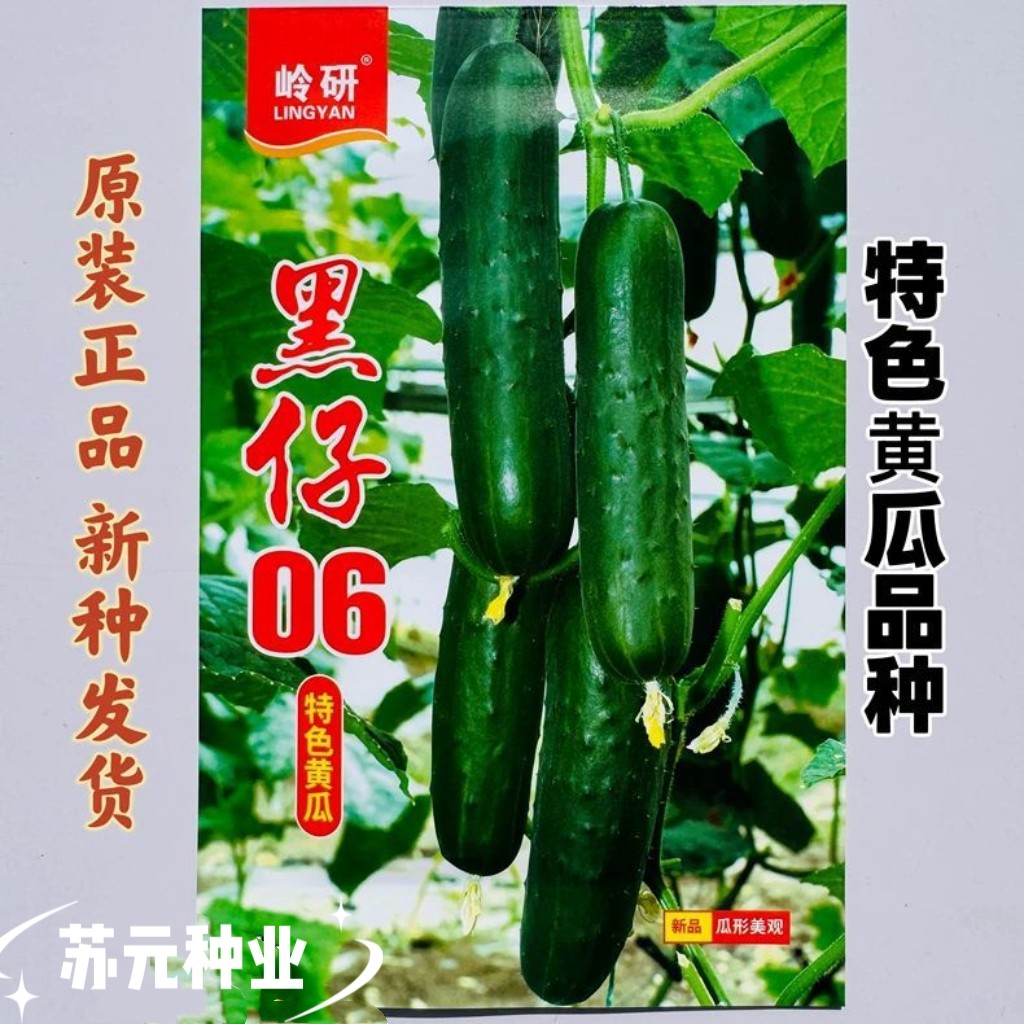 岭研黑仔06特色黄瓜种子强雌节节有瓜果色墨绿白刺瓤绿色清香甜脆