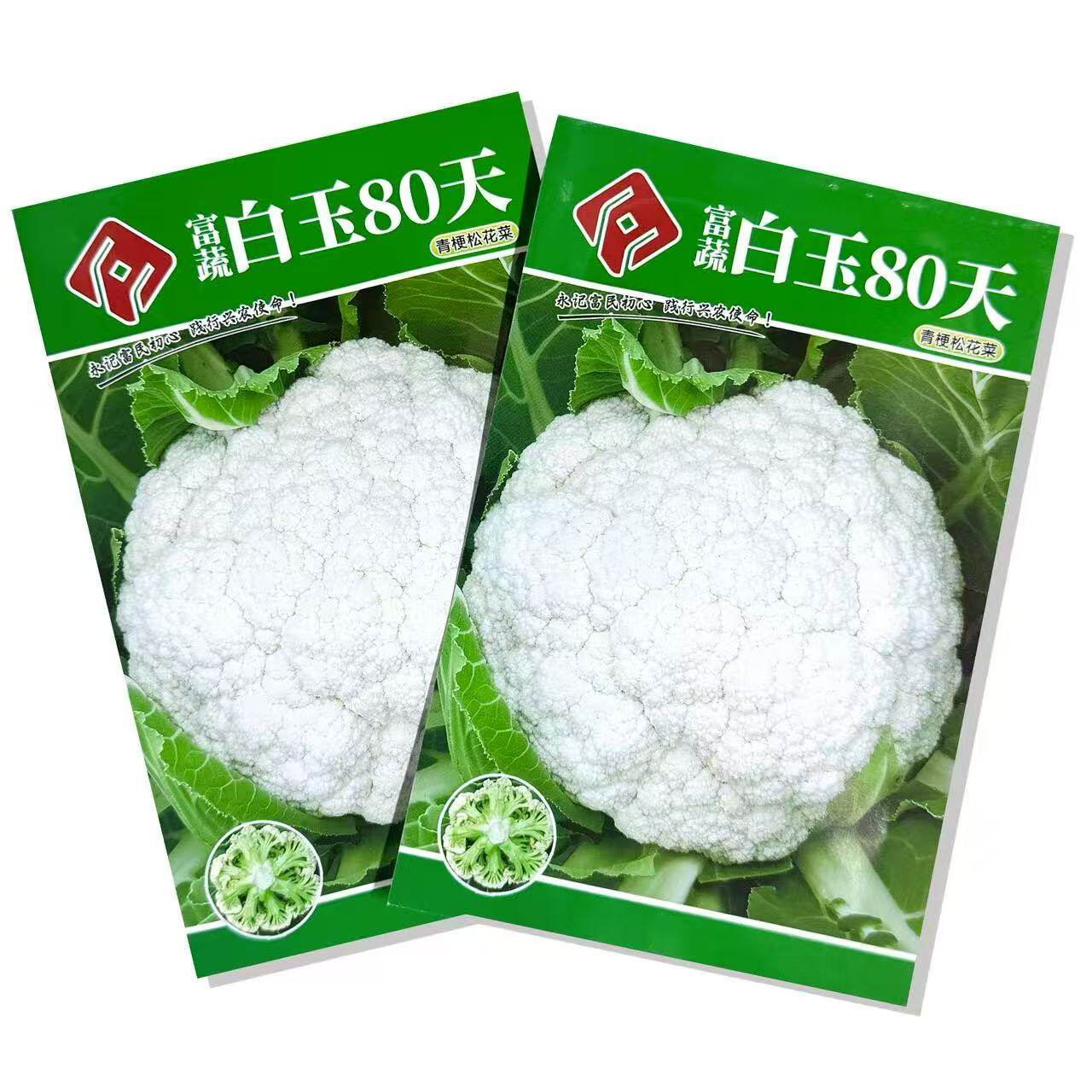 台湾进口白玉80天青梗松花菜种子小米粒松花良种春秋冬季蔬菜种孑