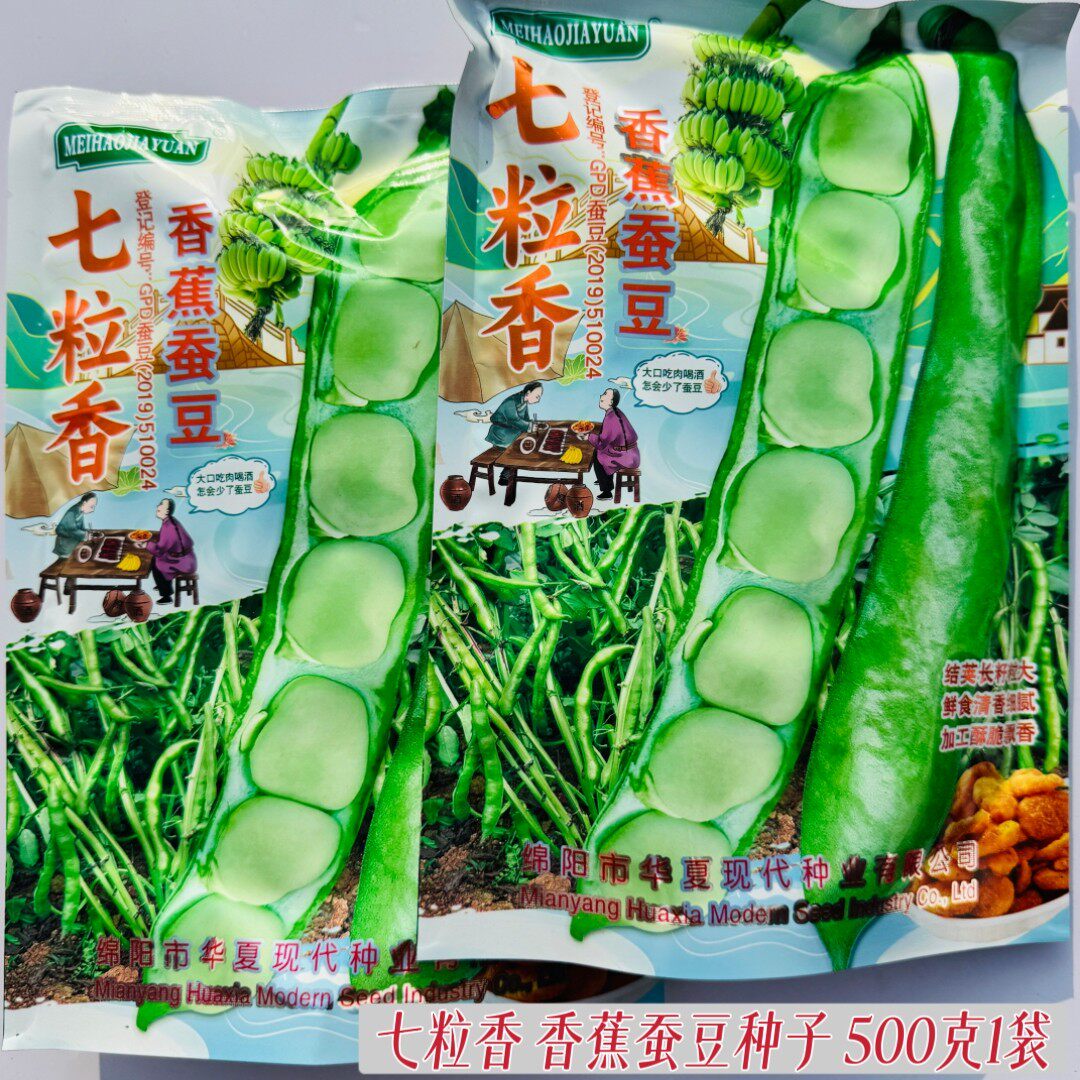 七粒香香蕉蚕豆种子农家秋播耐寒罗汉豆种子胡豆兰花豆丰产蔬菜孑