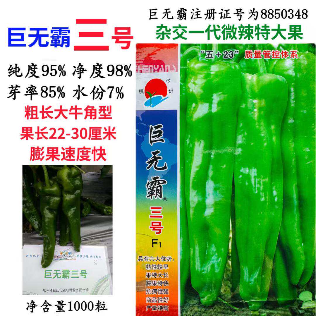 镇研巨无霸三号辣椒种子早熟大果粗长牛角椒种籽高产抗病抗逆性强