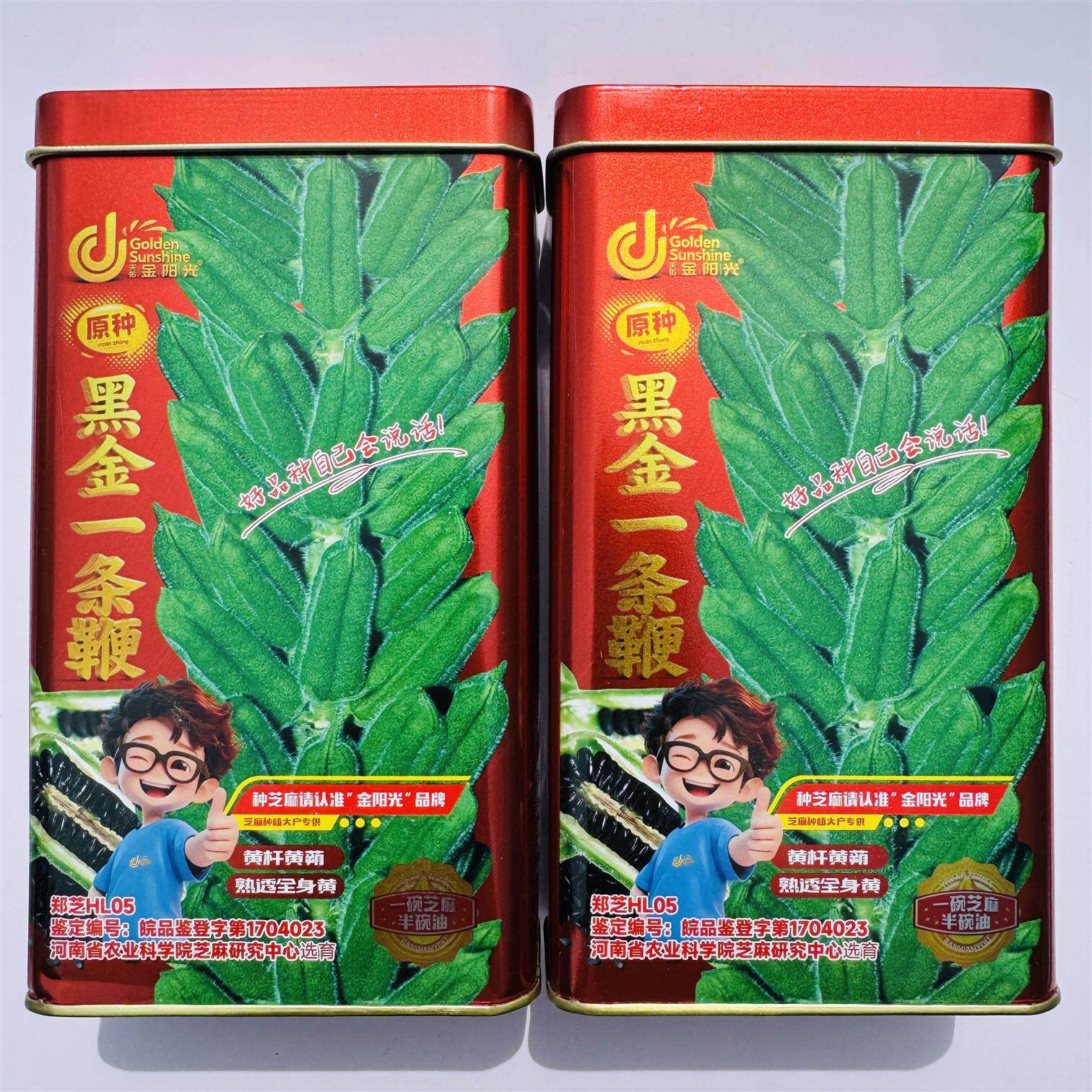 金阳光黑金一条鞭原种黑芝麻种子抗病杂交茎杆粗壮芝麻种籽春夏播