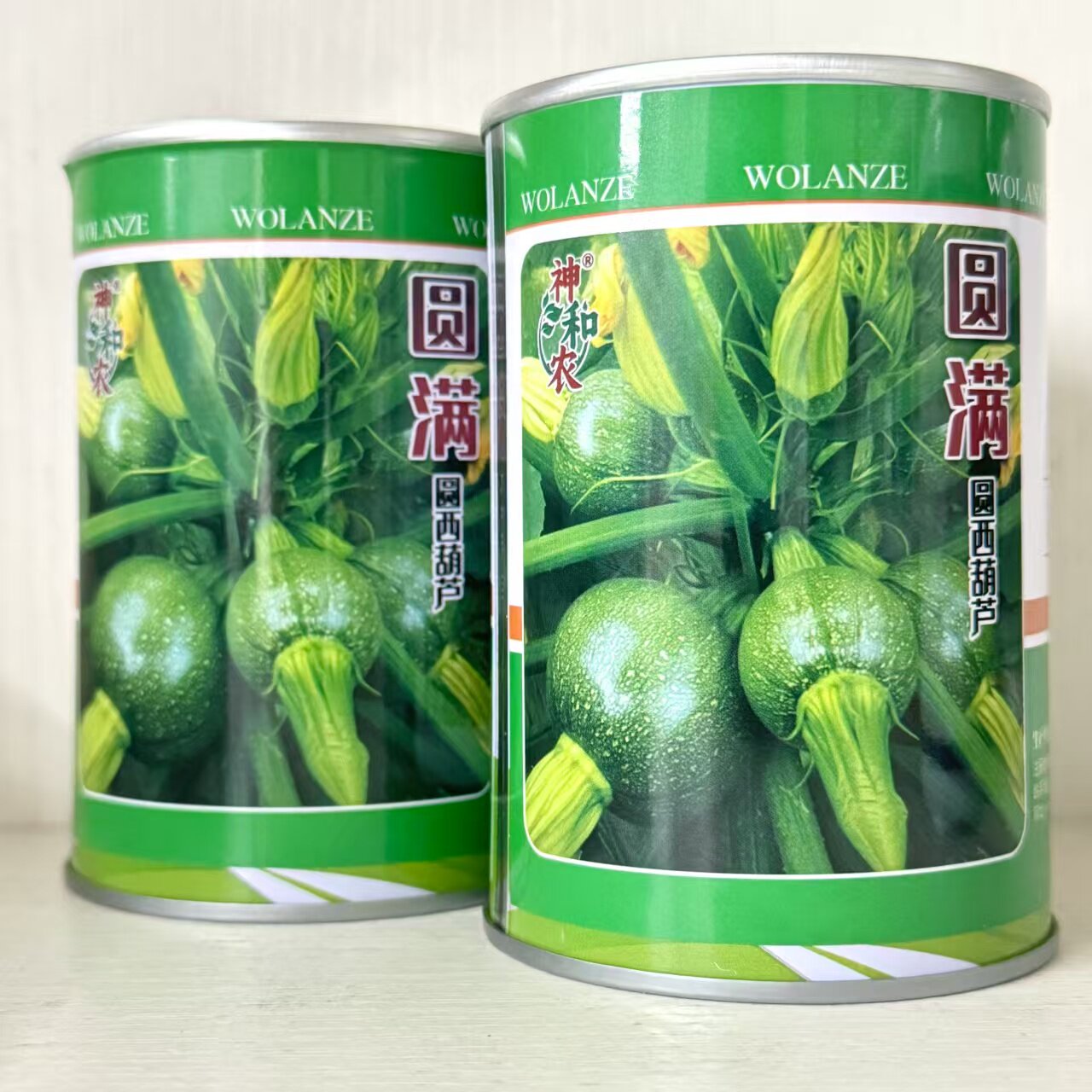 圆满杂交一代西葫芦种子短蔓无蔓高圆形西葫芦种籽高产抗病大田用