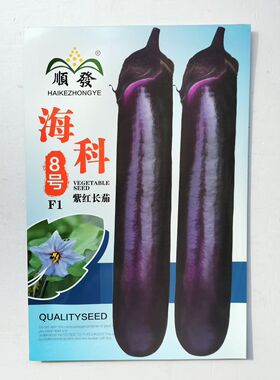 顺发海科8号中熟紫红长茄种子深紫色亮丽果肉白色肉质细嫩产量高