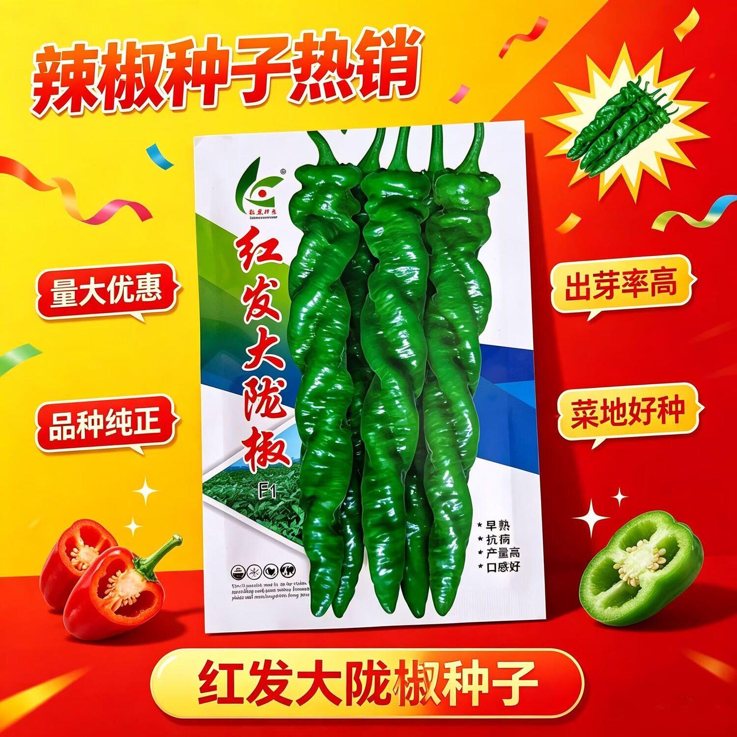红发大陇椒辣椒种子早熟杂交螺旋长椒种籽皮薄肉厚味香辣螺丝椒种
