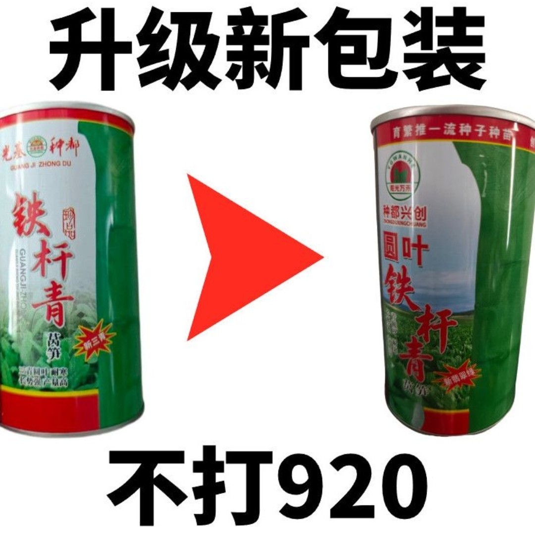 铁杆青三青青皮绿肉香莴笋种子高产耐热耐寒绿圆基地蔬菜种子