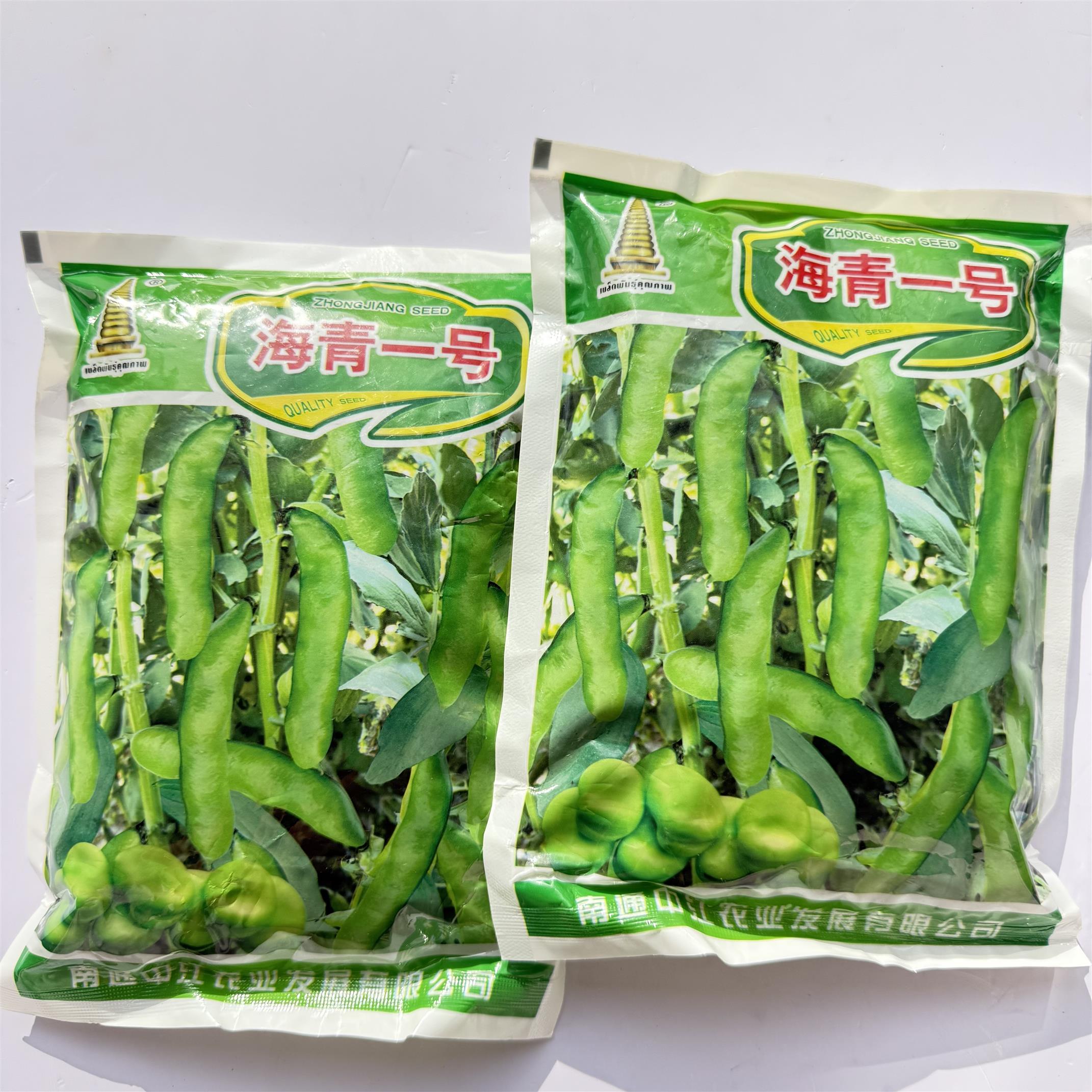 海青一号蚕豆种子特大高产日本大白皮蚕豆种籽秋冬季耐寒蔬菜种孑