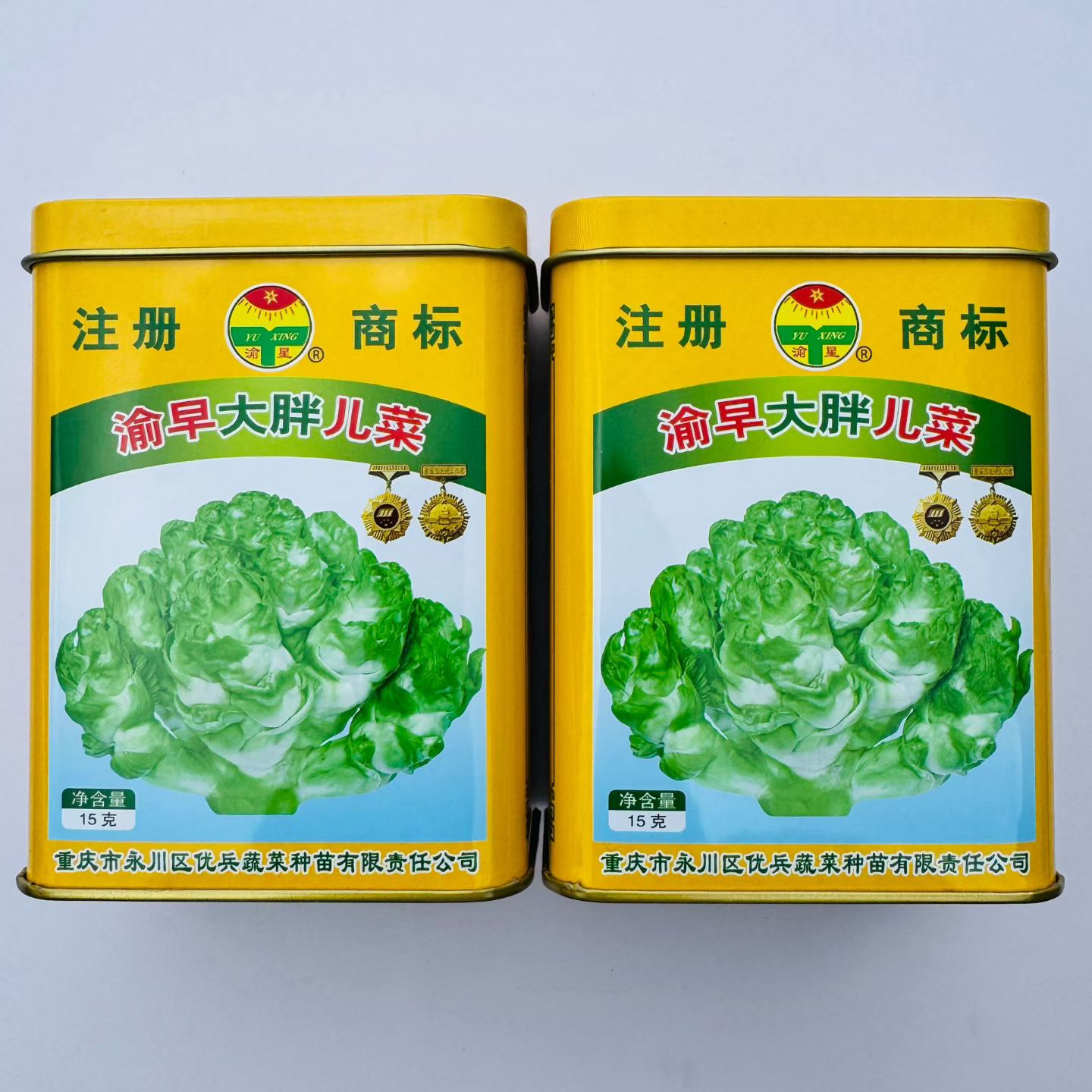 渝早大胖儿菜种子儿大均匀早熟儿菜籽耐寒口感脆嫩清香微甜秋季播