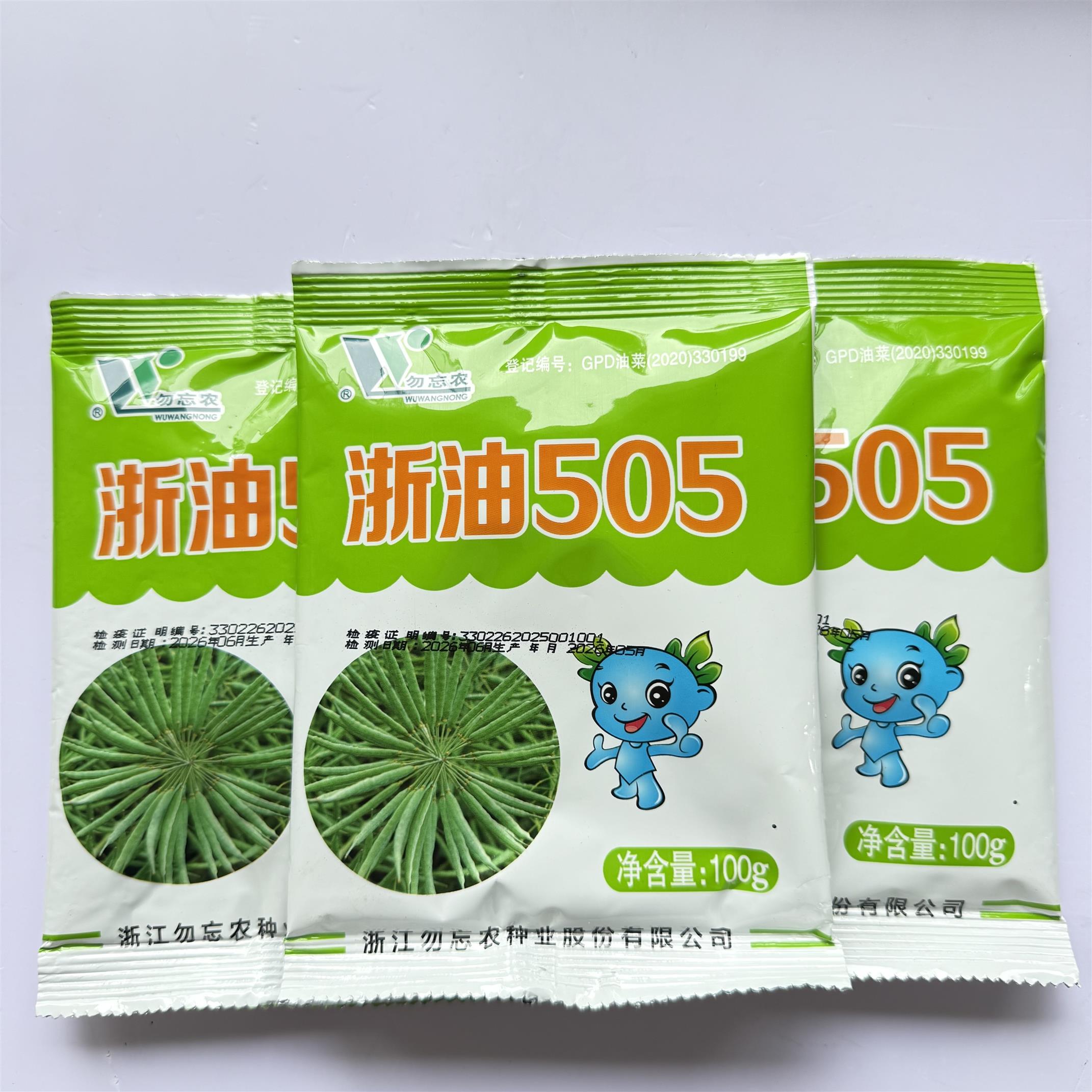 浙油505甘蓝型油菜种籽榨油原料高油高产半冬型秋冬蔬菜种油菜籽