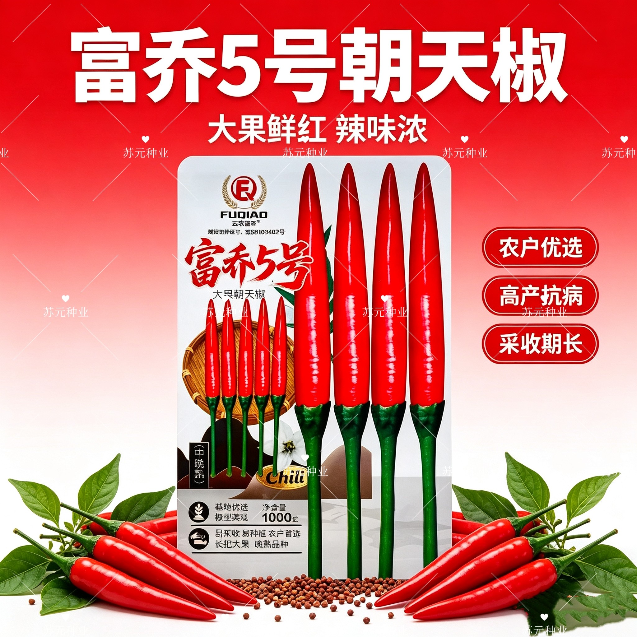 富乔5号朝天椒种子 晚熟长把大果朝天椒 易采收大田基地辣椒种籽