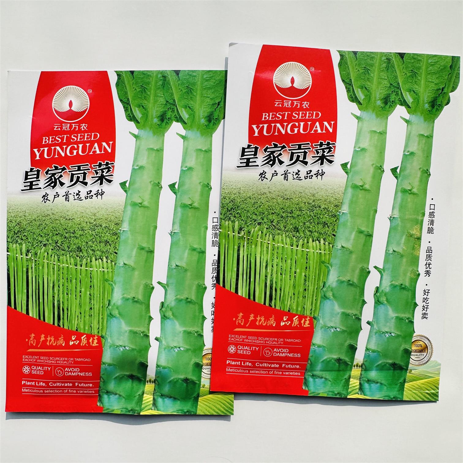 皇家贡菜种子耐热耐湿正宗响菜种子耐高温苔干菜山哲菜山蛰菜种子