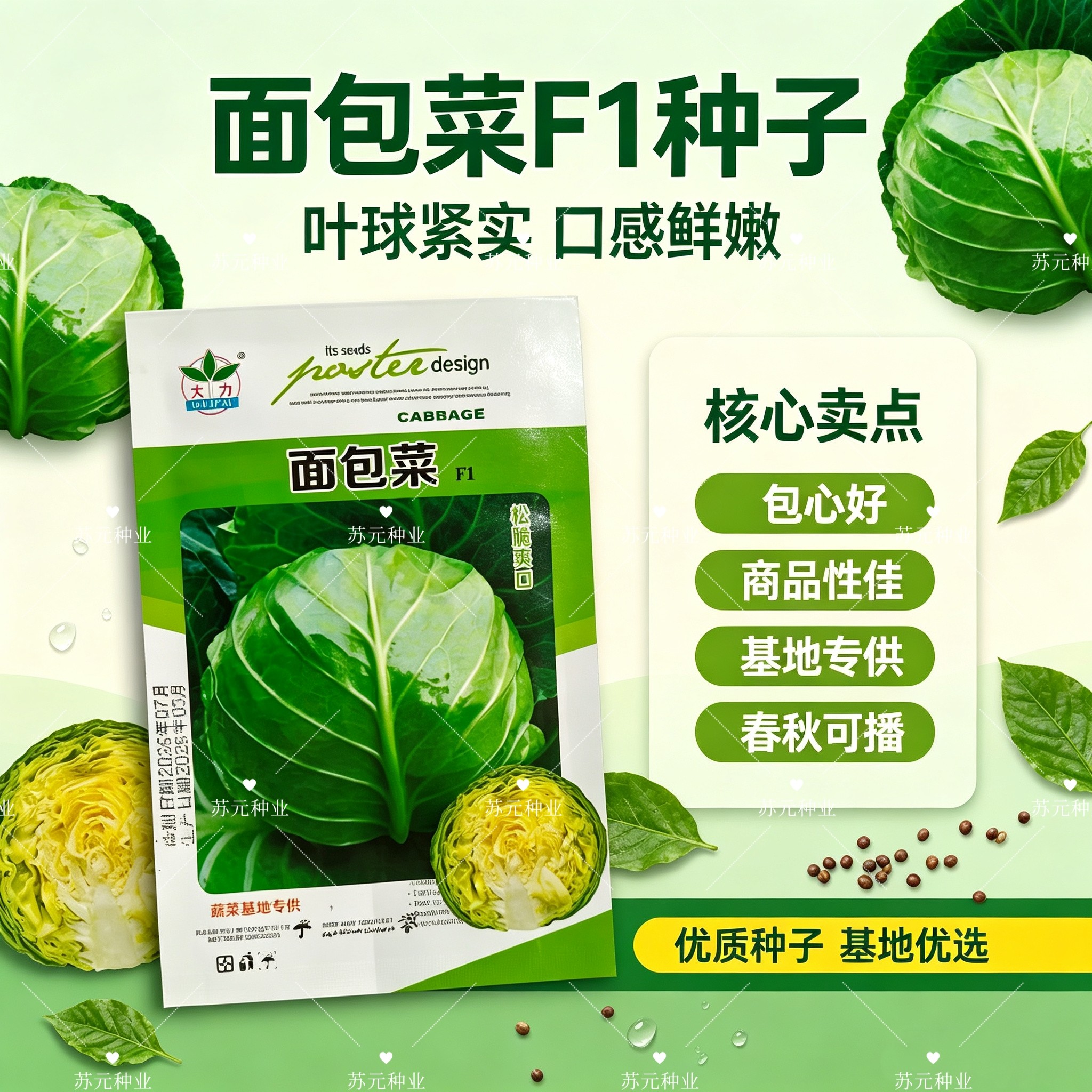 面包菜甘蓝种子松脆爽口结球紧实易种植高产抗病农家蔬菜种籽秋播