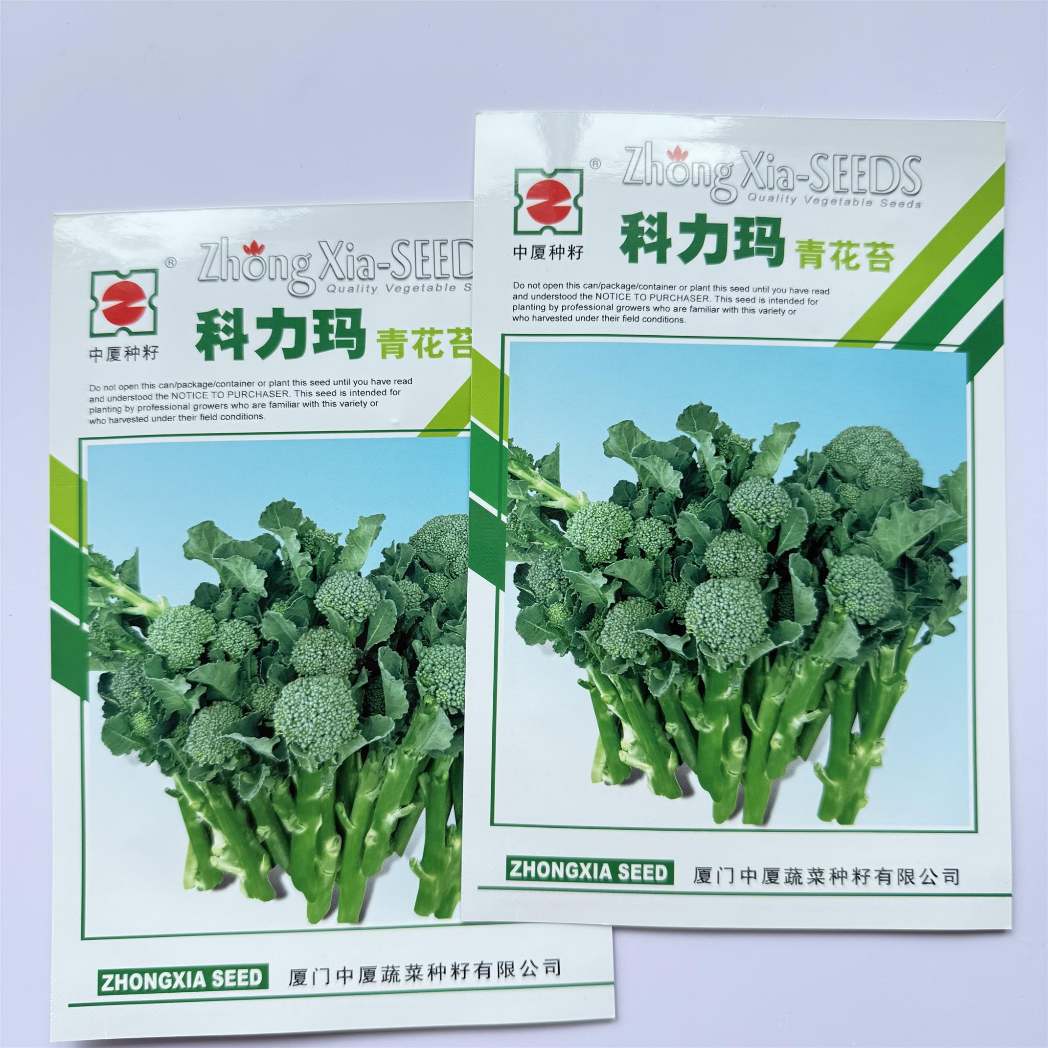 科力玛青花苔种籽早熟多次采收脆嫩青菜苔基地大田西兰花苔种子