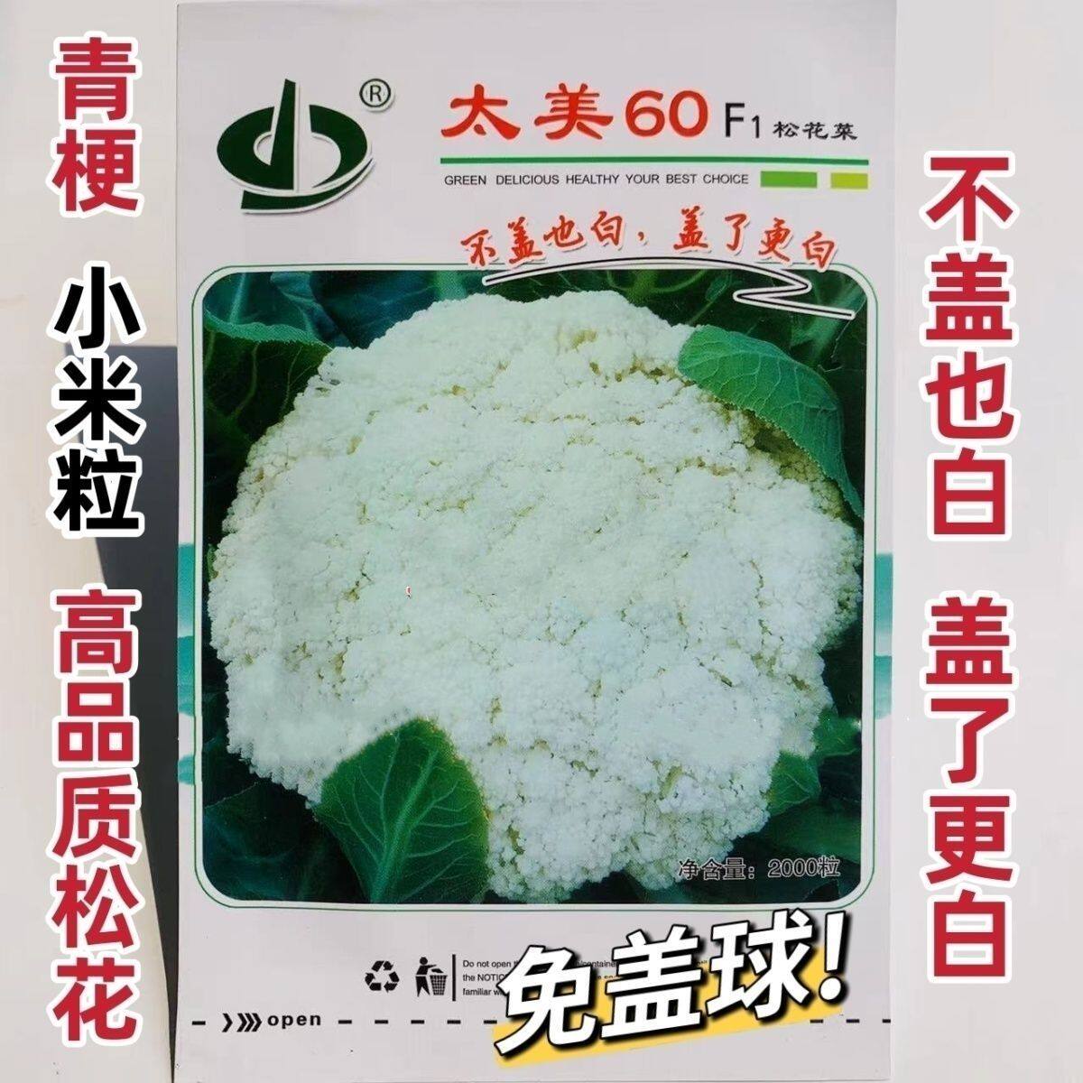 太美60免盖球花菜青梗松花菜种子盖了更白小米粒花椰菜松花菜种子