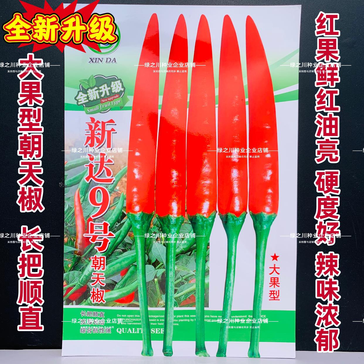 新达9号朝天椒种子长把顺直大果朝天椒种籽高产果硬鲜红油亮抗病