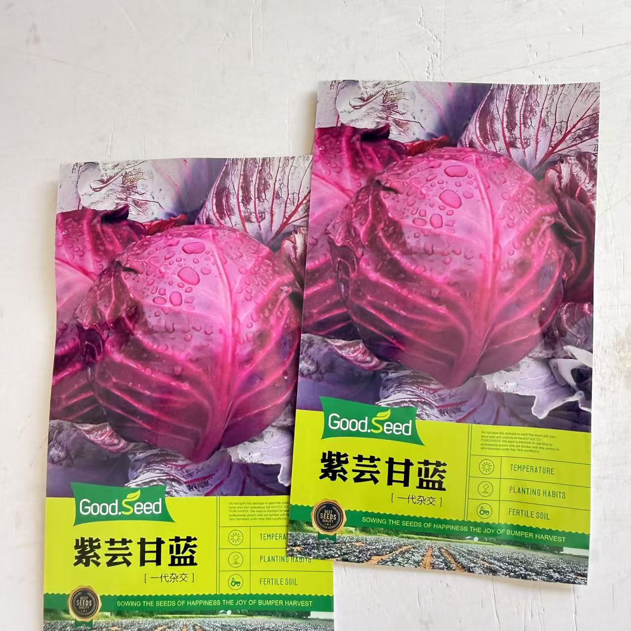 紫芸甘蓝种子紫甘蓝紫色包心菜籽菜用甘蓝种子一代杂交紫包菜种孑