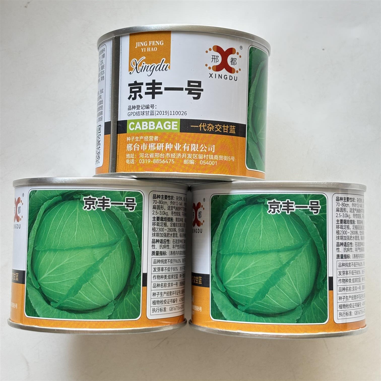京丰一号绿甘蓝种子卷心菜包菜种子脆嫩耐寒高品质甘蓝四季蔬菜种
