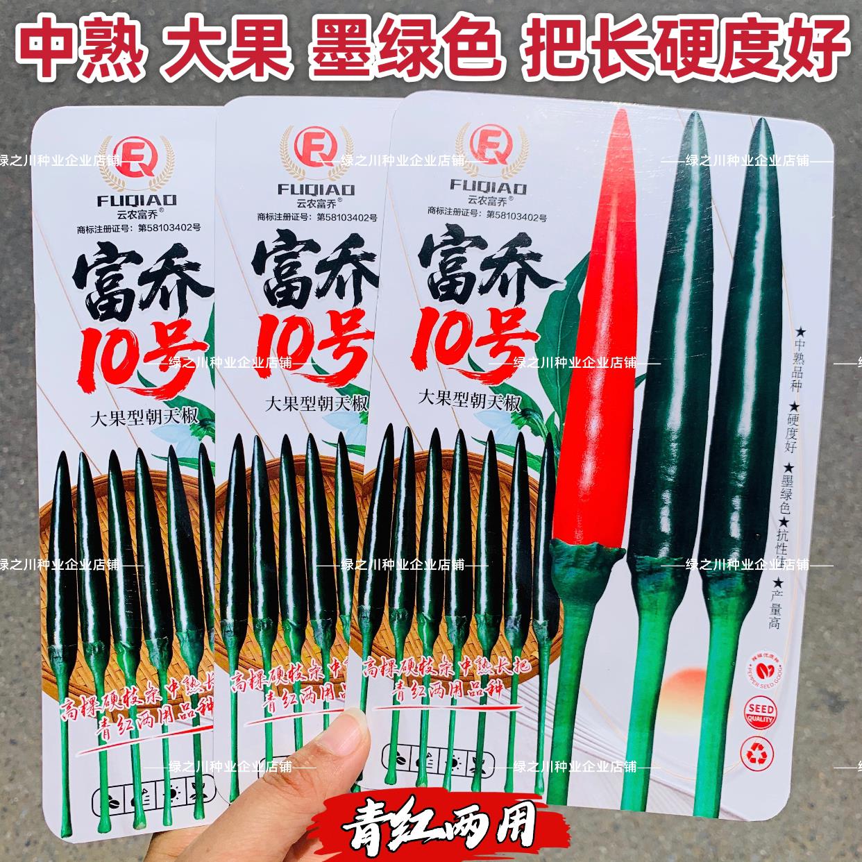 新品墨绿色朝天椒富乔10号朝天椒种子大号中熟青红两用辣椒种子