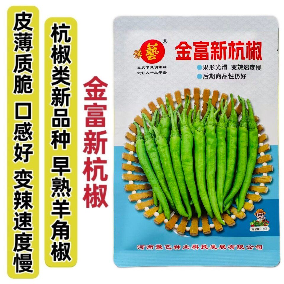 豫艺金富新杭椒种子新品种羊角椒种子皮薄质脆不辣或微辣杭椒种籽
