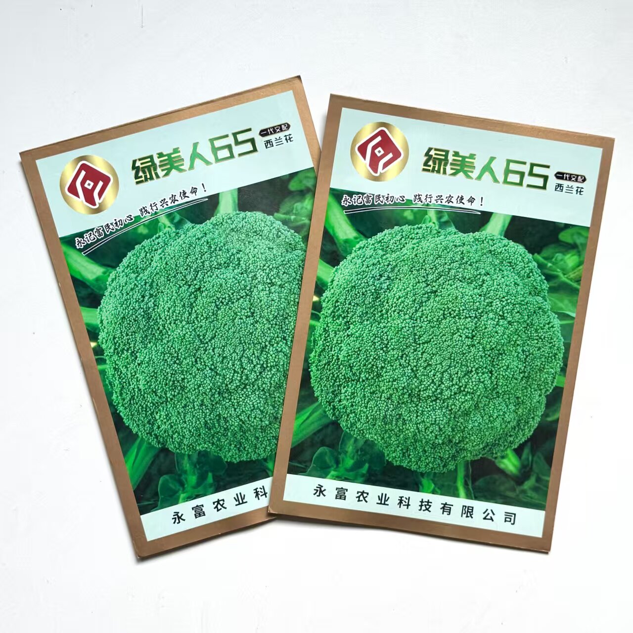 绿美人65西兰花种子早熟耐热 65 天采收深绿紧实半高球西蓝花种籽