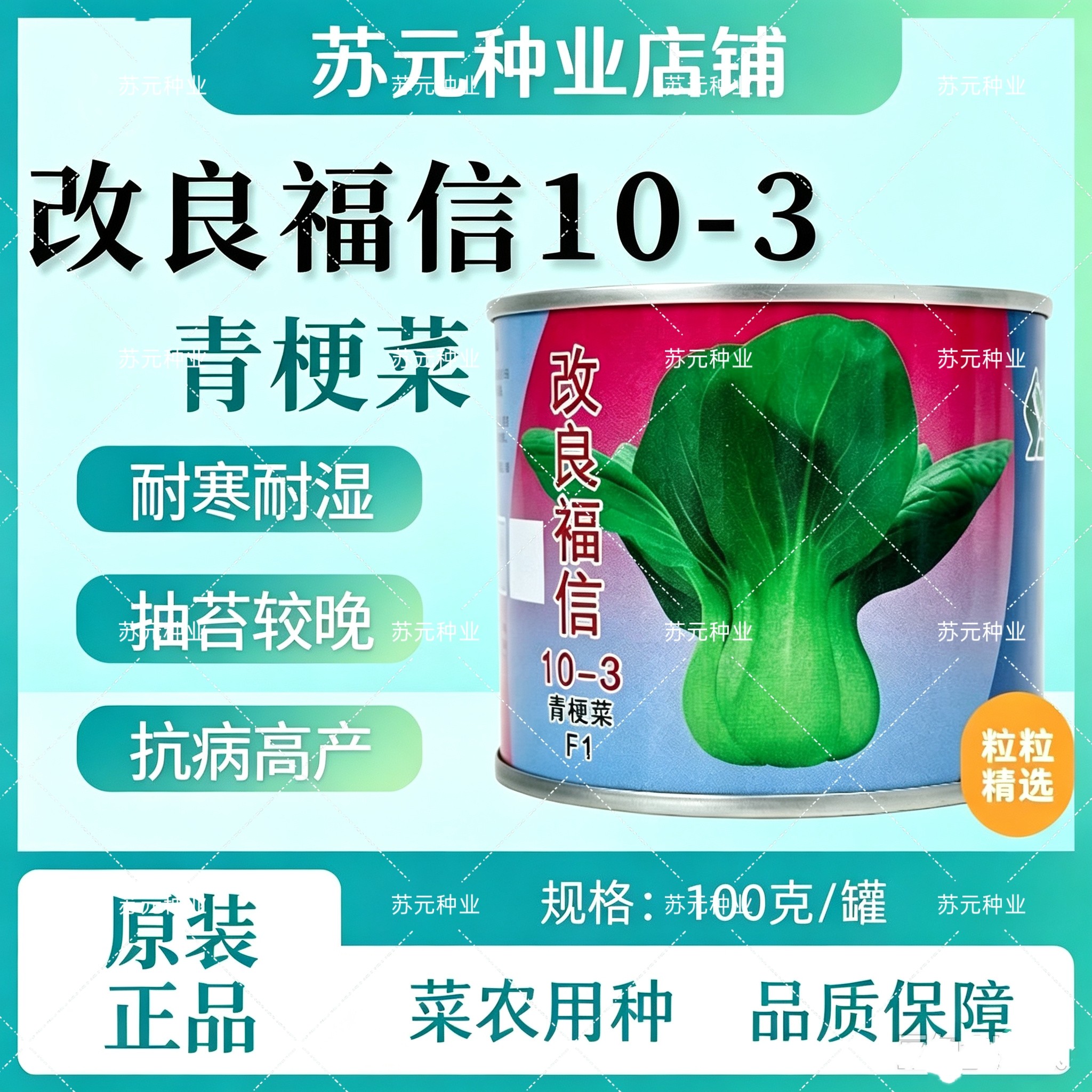 改良福信10-3青梗菜青菜种子高产耐寒耐抽苔秋冬上海青束腰菜种子