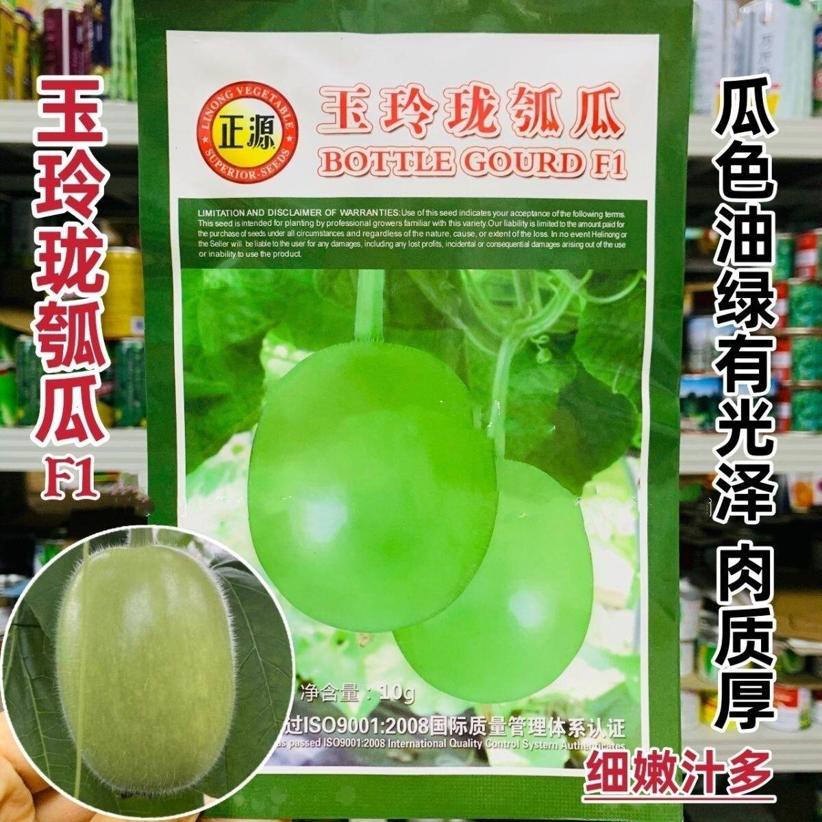 正源玉玲珑瓠瓜种子早熟串铃瓠子种籽青瓜椭圆形蒲瓜种子春秋高产