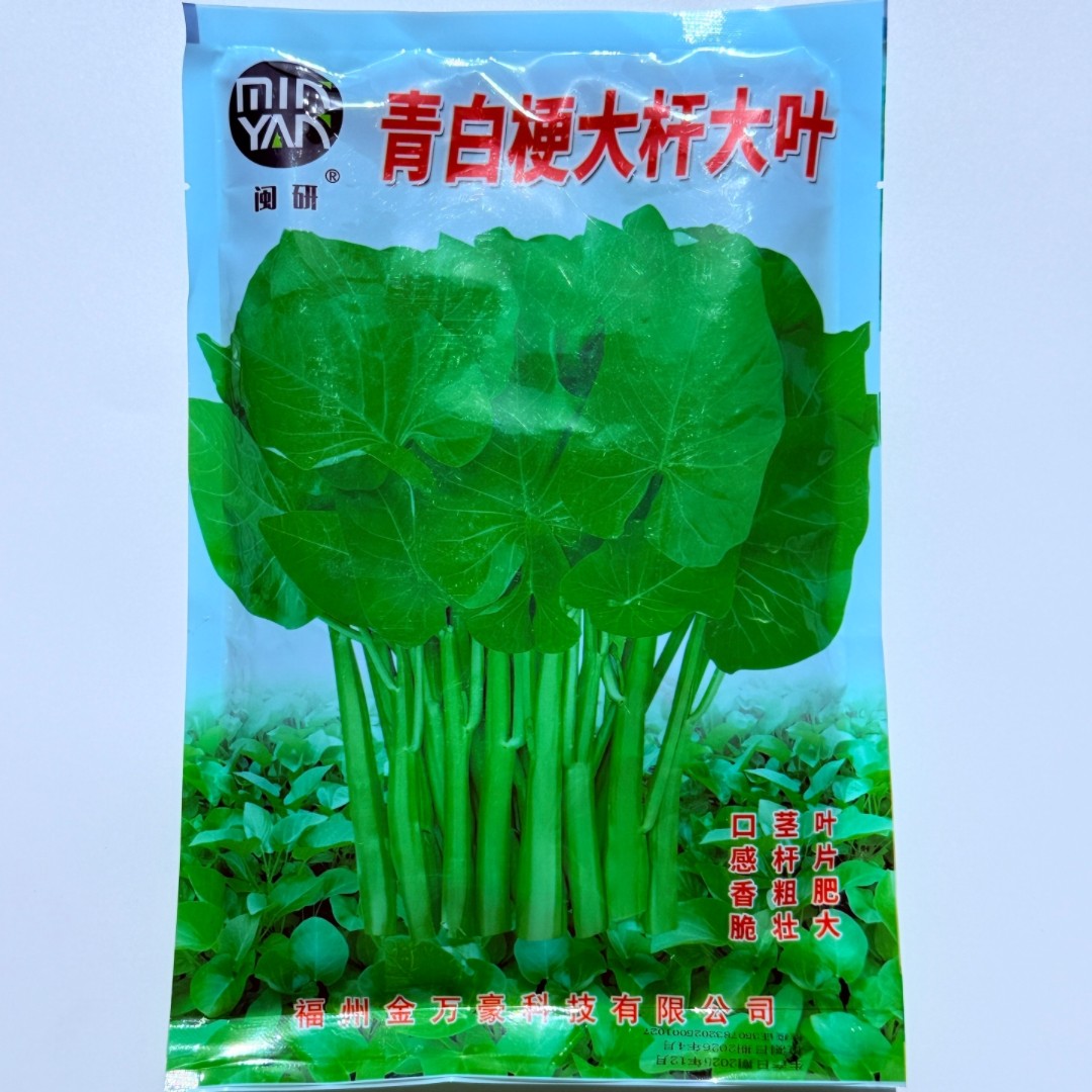 青白梗大叶空心菜种子农家田园阳台盆栽春夏季耐热空心菜种孑菜籽