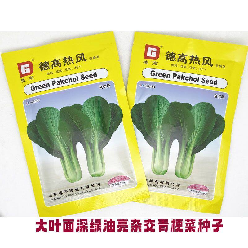 德高热风耐热青梗菜种籽高产耐湿夏季上海青种子不拔节油菜种子孑