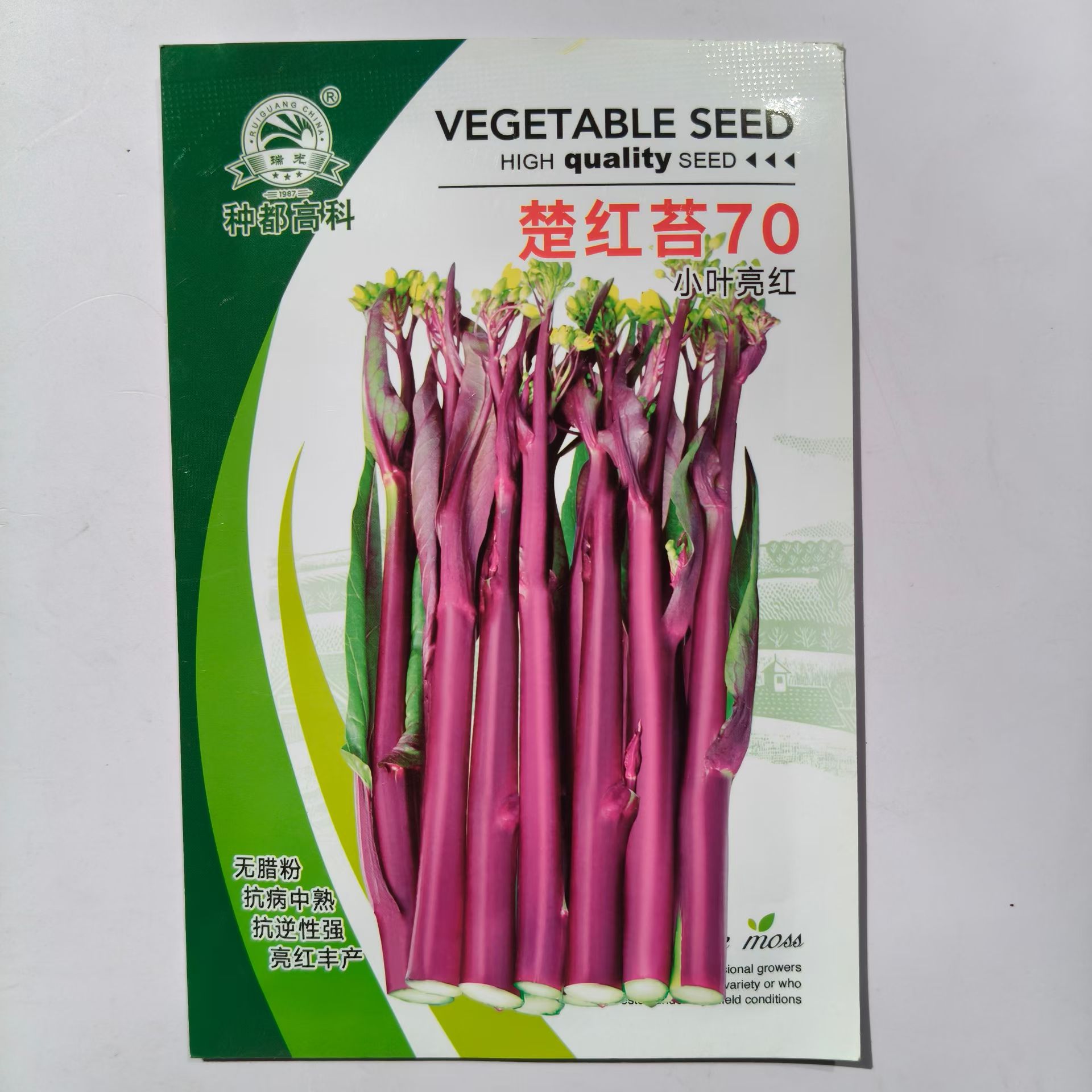 楚红苔70小叶亮红菜苔种子早熟无蜡粉抗病中熟抗逆性强红菜苔种籽