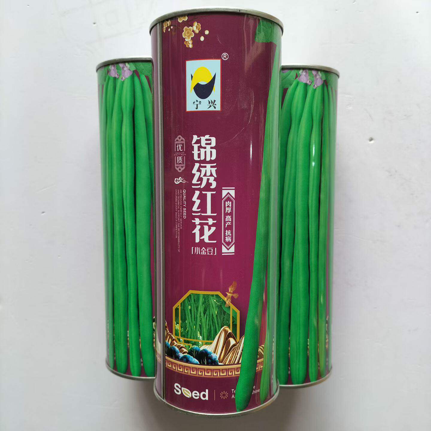 锦绣红花小金豆种子肉厚中早熟红花绿荚嫩荚无筋架豆四季豆种籽