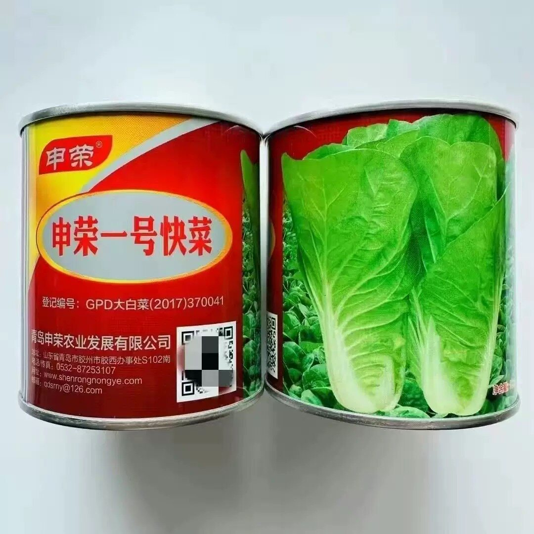 一号快菜种子四季蔬菜种籽早熟小白菜种子基地专用菜籽无茸毛