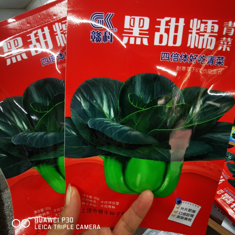 赣科蔬菜种子黑大头苏州青小青菜家庭园艺种子