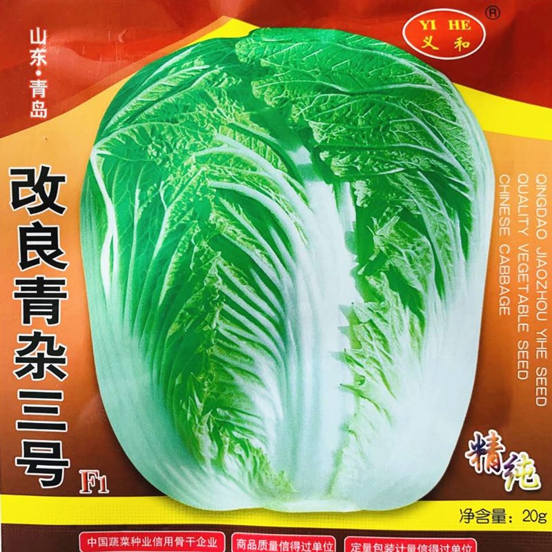 山东胶州改良青杂三号大白菜种子优质高产抗病农家秋季播精选种孑