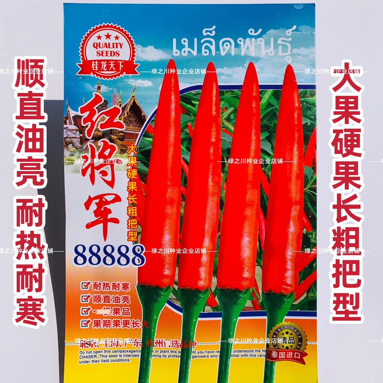 红将军88888大果朝天椒种子特辣单生中晚熟朝天椒种籽易种辣椒