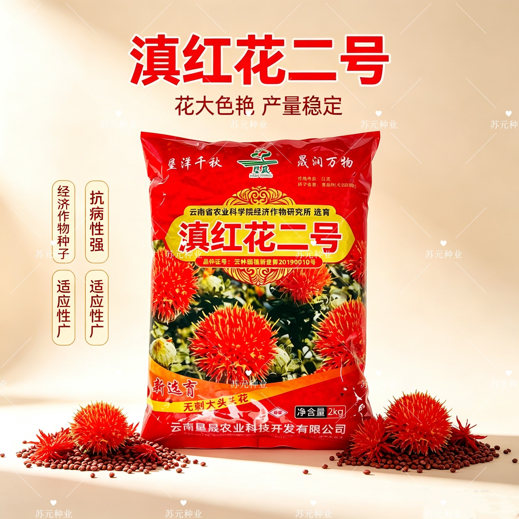 滇红花二号种子云南农科院研究无刺红花种籽子草红花种子籽孑4斤