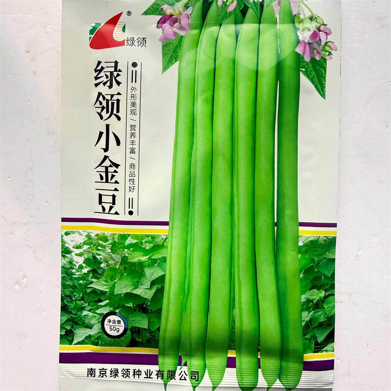 小金豆种子早熟无筋豆角种子荚长顺直荚面光滑品性好50克*2袋