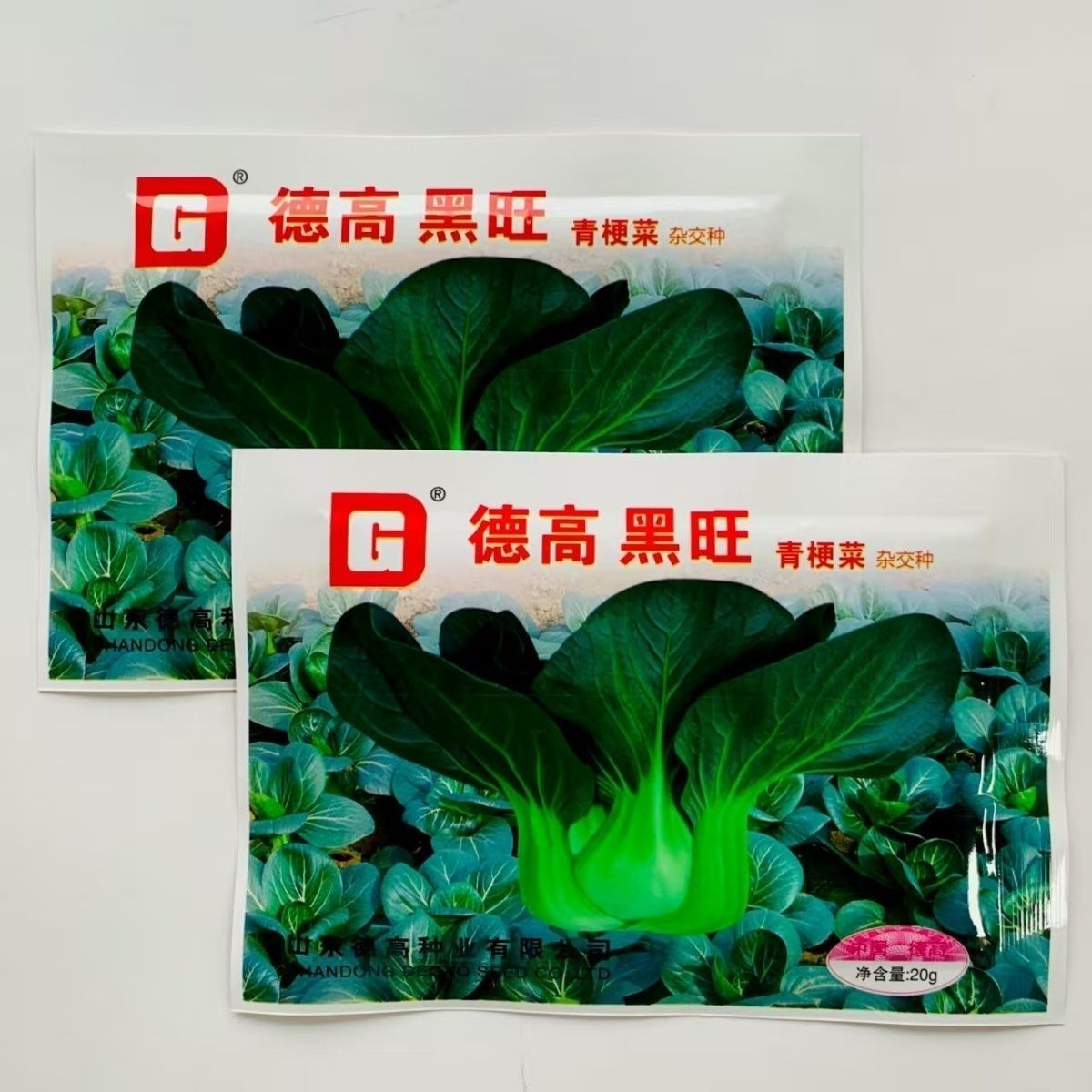 德高黑旺青梗菜种子高产抗病耐热耐寒农家菜园家庭种植蔬菜种子籽
