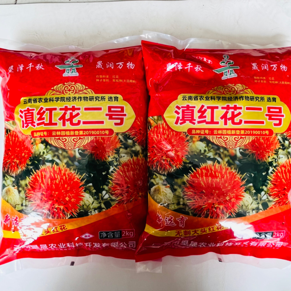 滇红花二号红花种子大花无刺花丝长耐寒耐瘠产量高药材种籽草红花