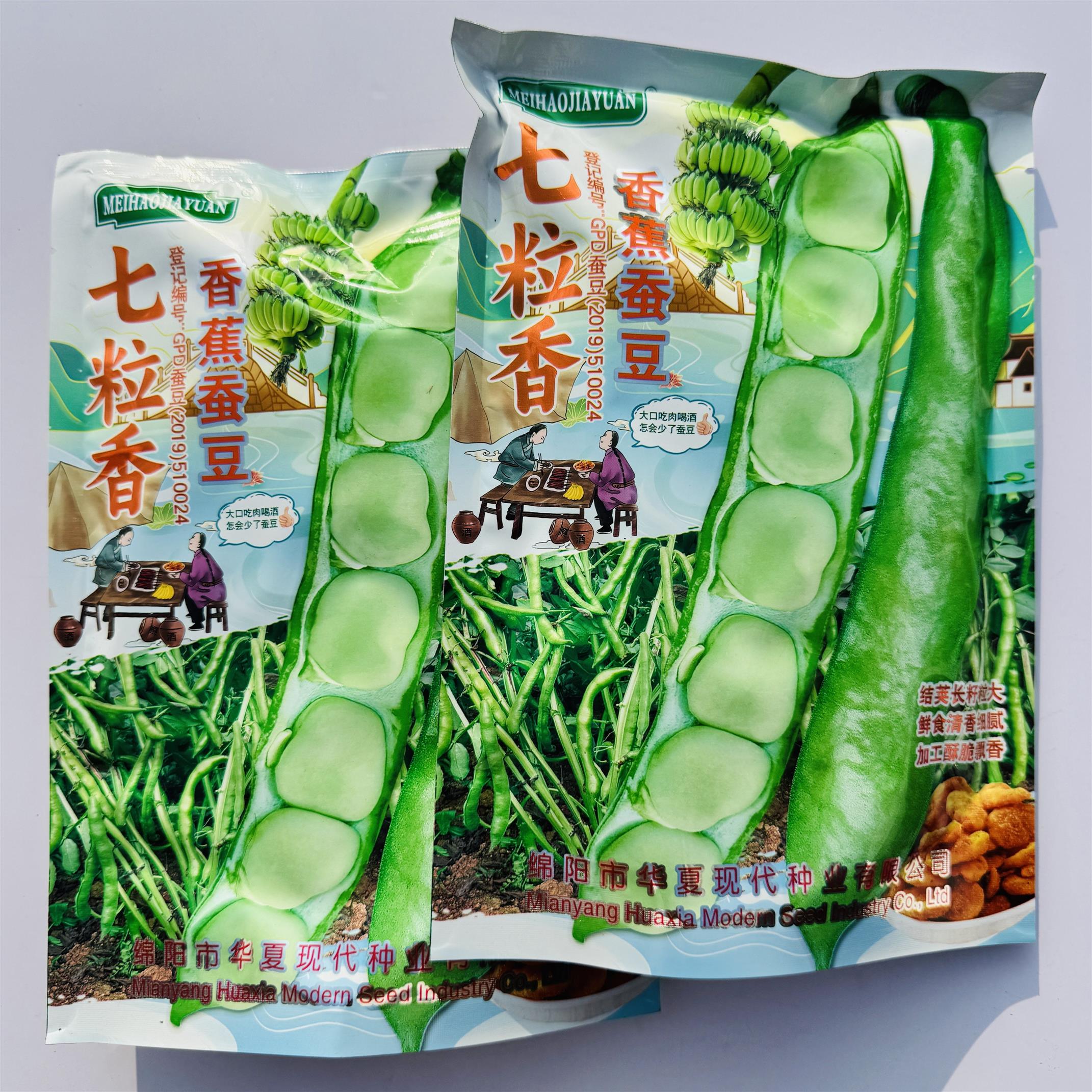 七粒香香蕉蚕豆种子籽罗汉豆种籽春秋冬季播早熟耐寒胡豆种孑