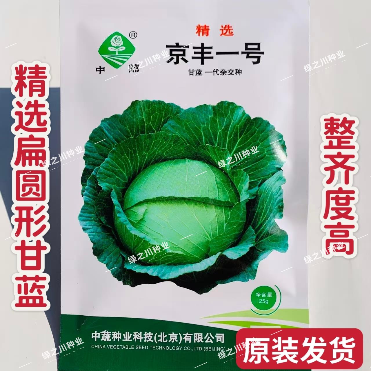 京丰一号甘蓝种子扁圆卷心菜种籽大头莲花白扁包菜种子春秋甘蓝