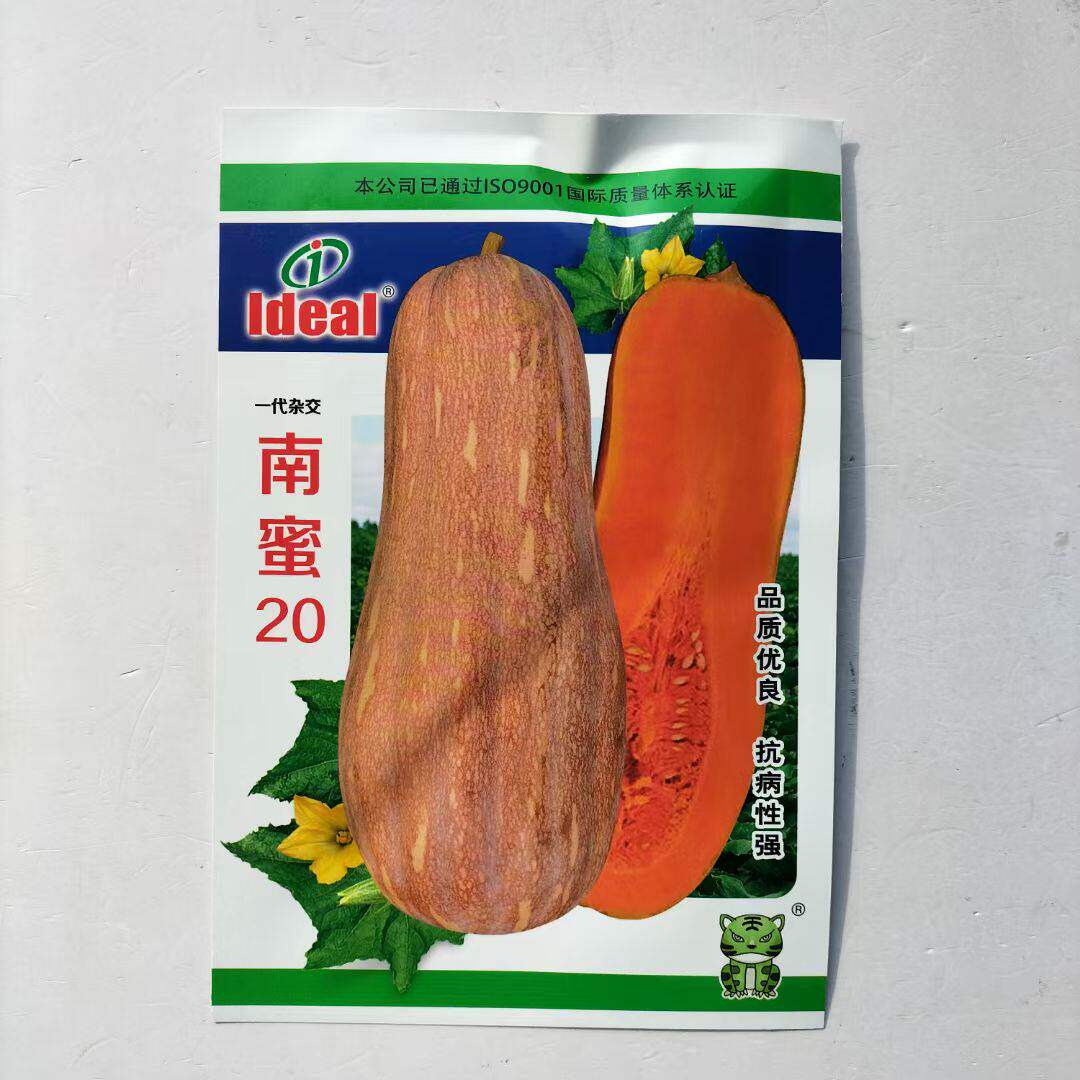 理想南蜜20蜜本南瓜种子早中熟香甜板栗南瓜籽农家菜种籽春季