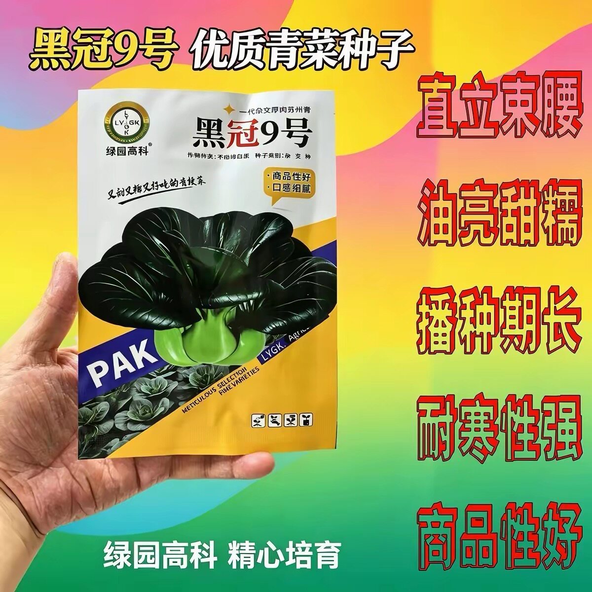 黑冠9号苏州油亮种子黑叶矮脚清甜糯秋冬蔬菜种子黑甜糯9号青梗菜