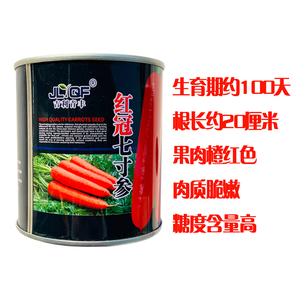 红冠七寸参胡萝卜种子棒状小顶柱心橙红肉细表皮光滑红萝卜种子孑