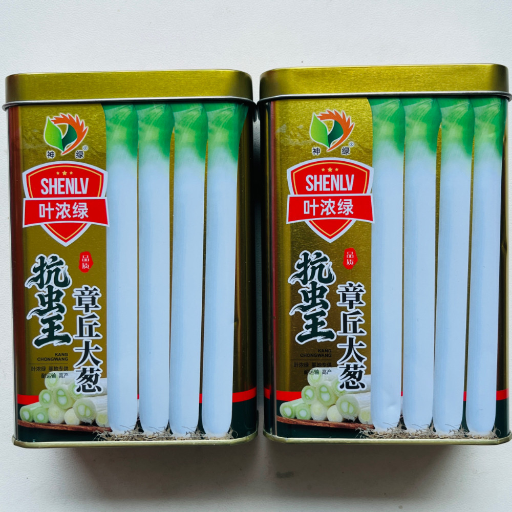 山东章丘大葱种子四季葱种子葱苗蔬菜种籽香葱小孑葱籽蔬菜葱种籽