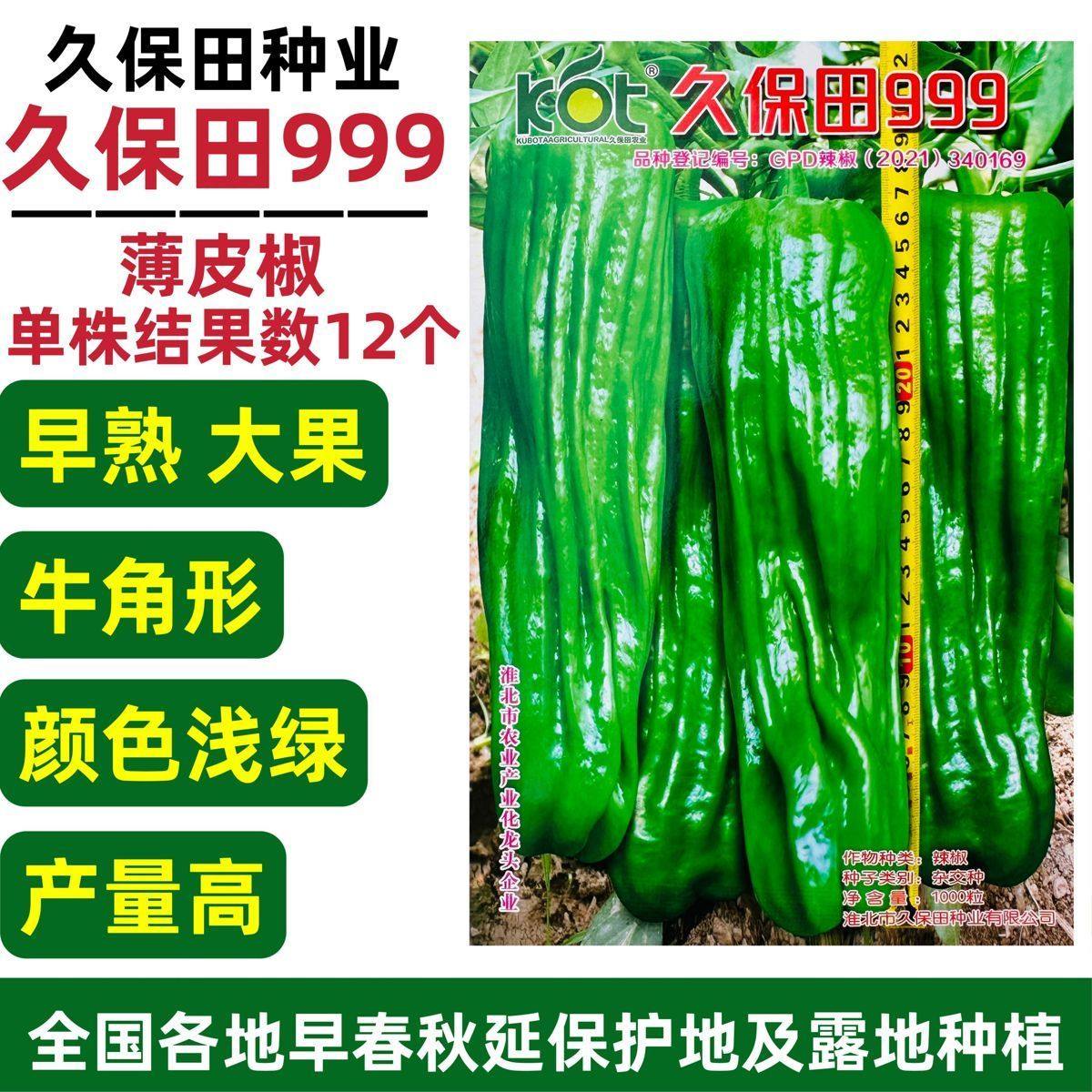 久保田999辣椒种子早熟薄皮辣椒大果泡椒种子高产大青椒种籽耐热